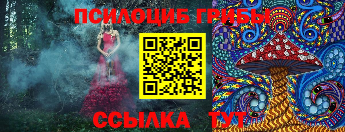 Татарск  Псилоцибиновые грибы MAGIC MUSHROOMS  наркошоп  Вход с VPN 